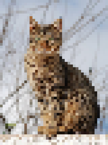 Pixelated cat